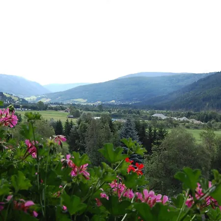 Апартаменты Sonnenchalet Baeckenbauer