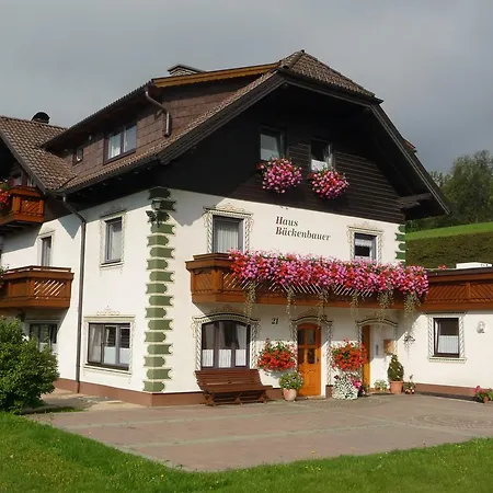 Sonnenchalet Baeckenbauer Апартаменты