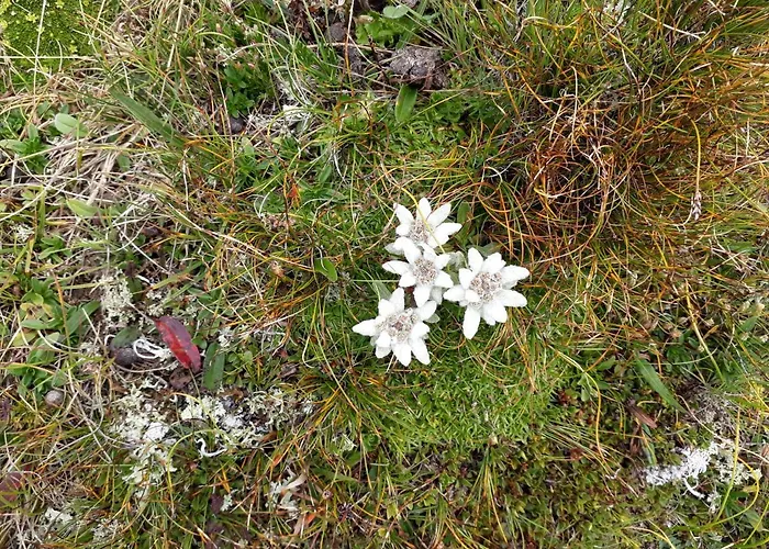 Sonnenchalet Baeckenbauer 상트미카엘임룽가우