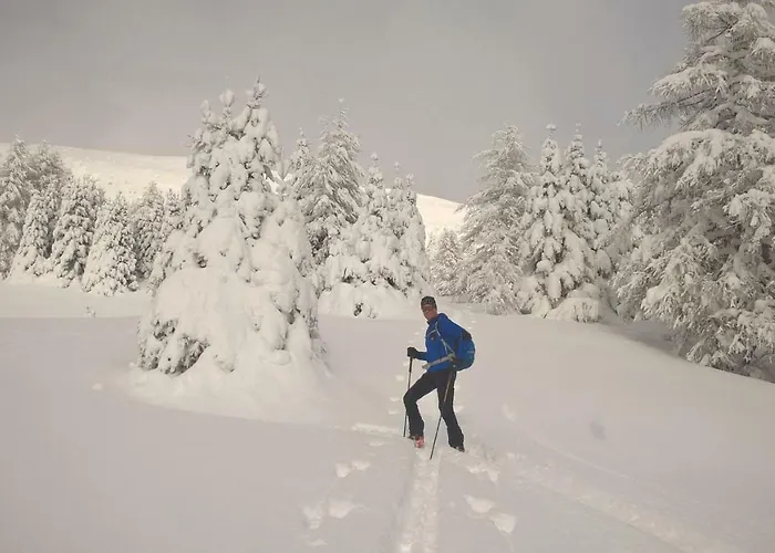 아파트 Sonnenchalet Baeckenbauer